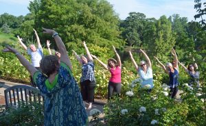 Side Stretch yoga pose in Rose Garden Y