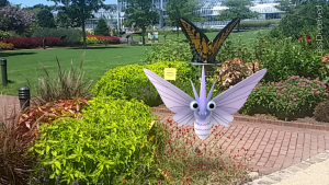 Venomoth by Swallowtail