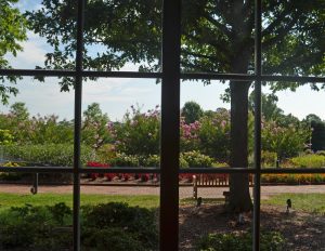 view from classroom room in kelly education center