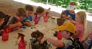 summer campers making pond habitats