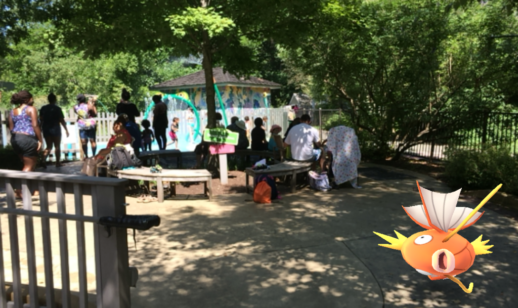 Pokemon magikarp at waterplay at Lewis ginter Botanical Garden