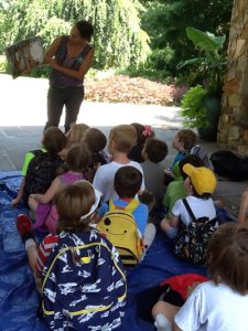 rabbit and fox game at camp 400