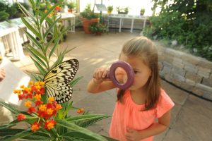 paper-kite-butterfly-with-girl-photo-by-Scott-Elmquist-1000