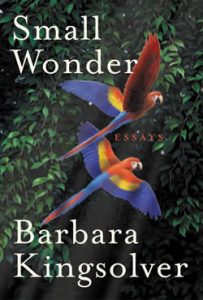small wonder book cover