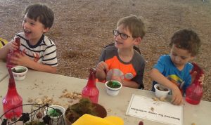 three campers making pond habitats