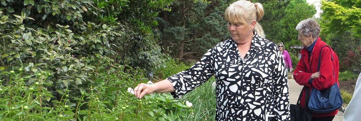 The Beginner's Perennial Garden