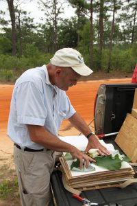 Kevin Conrad studies magnolia leaves that he collected in central Florida.