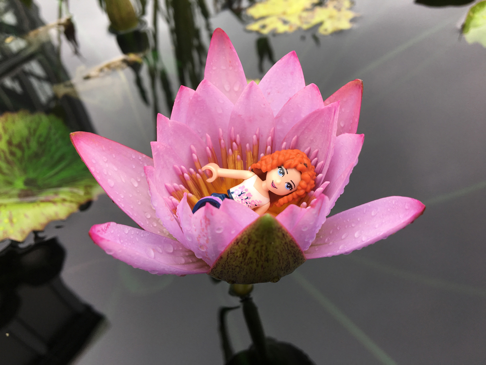 Water Lily and LEGO minifig for LEGOoutside Instagram contest