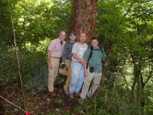 Plant collector Anthony Aiello, left, and his colleagues documented this venerable paperbark maple in Central China.