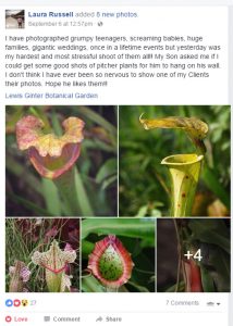 Pitcher plant love facebook post