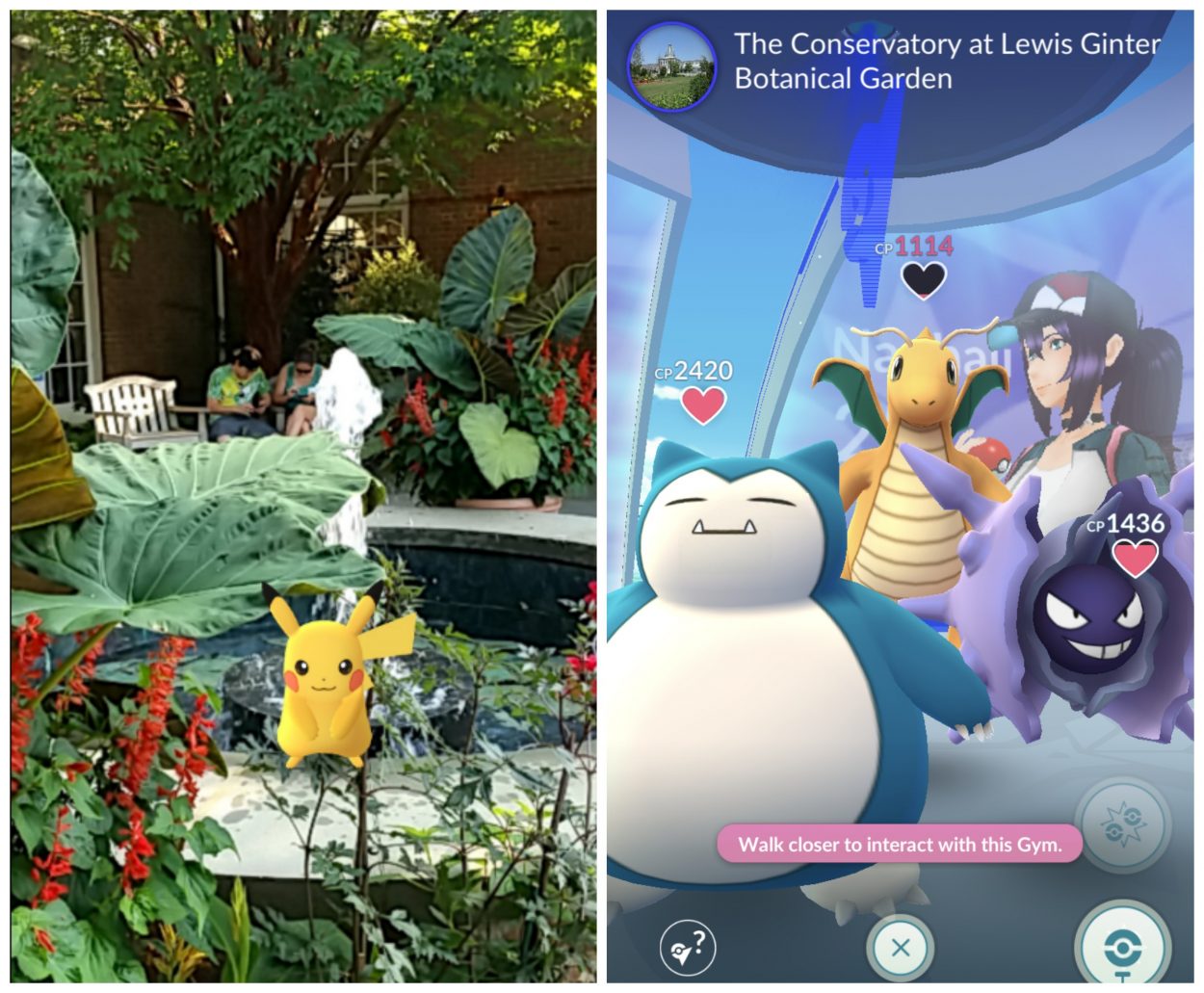 Pokemon Go Community Day At Lewis Ginter Botanical Garden