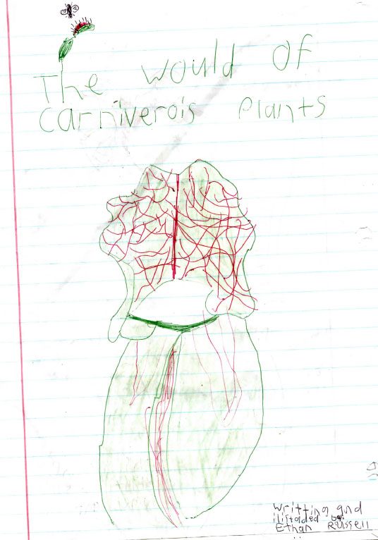 The World of Carnivorous plants, story and illustrations by Ethan