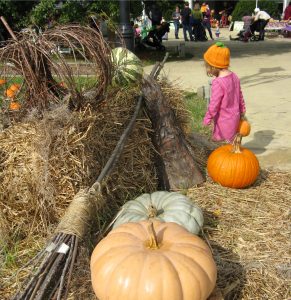 Goblins and Gourds pumpkin patch