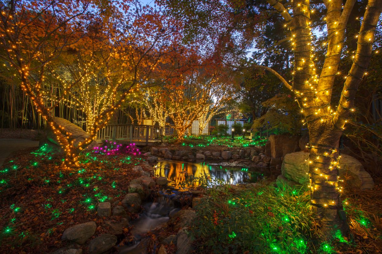 Norfolk Botanical Gardens Christmas Lights 2020 Hours Of Daylight
