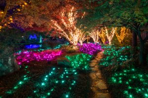 Dominion GardenFest of Lights: Living Color. Image by Harlow Chandler