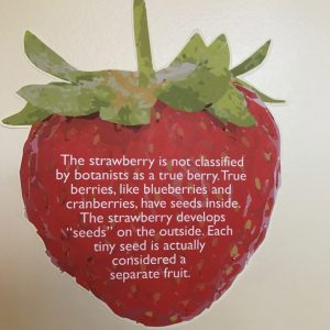 Strawberry color fact