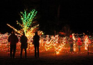 Light maze at Dominion Energy GardenFest of Lights