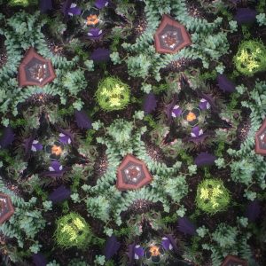 Kaleidoscope vs. Teleidoscope
