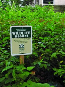 A sign posted in Margie Ruddick's 'wild' front yard says: "Certified Wildlife Habitat." 