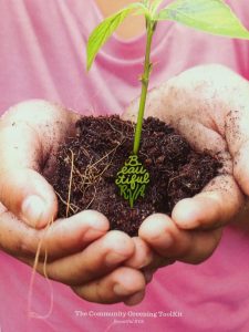 Community Greening toolkit poster