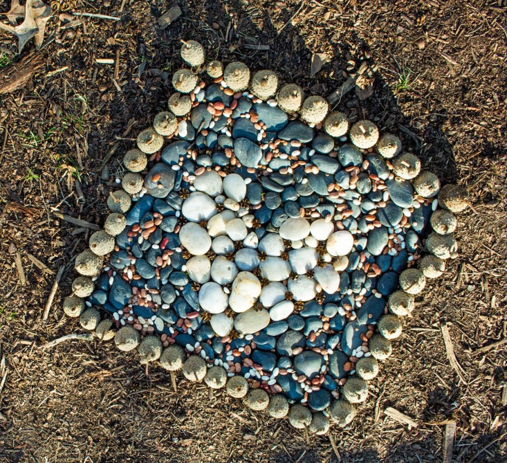 #WildArt instagram contest submissions: heart shaped made from rocks and natural material