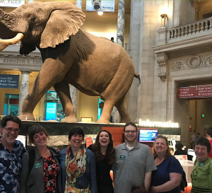 Smithsonian Elephant + Butterfly Curators