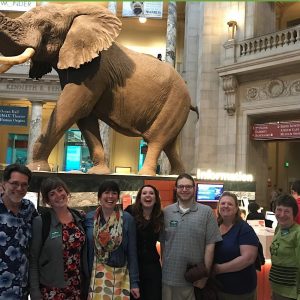 Curators and Smithsonian elephant