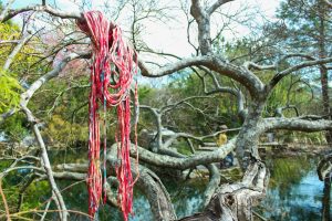 Shreds: What goes around, comes around. Part scarf, part necklace, pure style, these stretchy tubes of soft jersey knit are upcycled fabric remnants cleverly re-imagined into neckwear by the textile artists at Donna Bella Shreds. Handmade in Des Moins, Iowa, each Shred is a unique combination of color and texture, bound together into a chic fashion accessory. Sizes and prices vary.