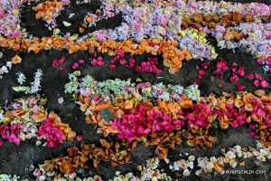 Noah Scalin detail in flowers