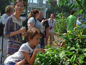 Child looking at butterfly at CarMax Free Fourth of July