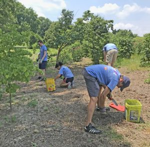 Enrique Mayor-Mora and team weeding.