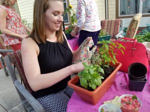 Planters with basil