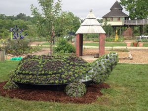 Wild Art Turtle Island by Colleen Hall