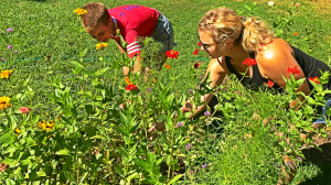 Two women, standing behind a stand of wonderful red, yellow, and purple flowers.