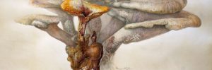 Painting Fungi Margaret Saylor