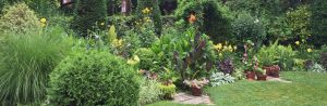 Home Landscape Design Trevor Buckley
