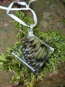 Square, Paper Kite Butterfly wing pendant in a bed of moss.