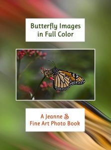 Schlesinger's new book with colored photos of butterflies from Lewis Ginter's exhibit.