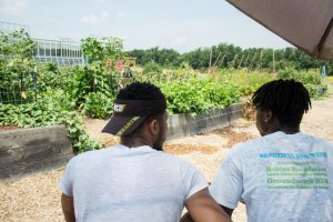 Two students enjoyed the scene at the Kroger Community Kitchen Garden