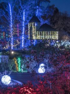 Dominion Energy GardenFest of Lights Don Williamson tree house