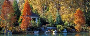 Fall View of Streb Conifer Garden