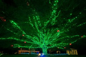 Dominion GardenFest of Lights tips -- The GardenFest Giving Tree by Harlow Chandler