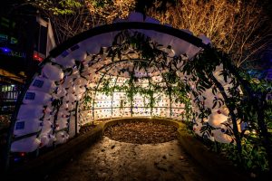 Milk jug igloo in the Children's Garden. Image by Harlow Chandler