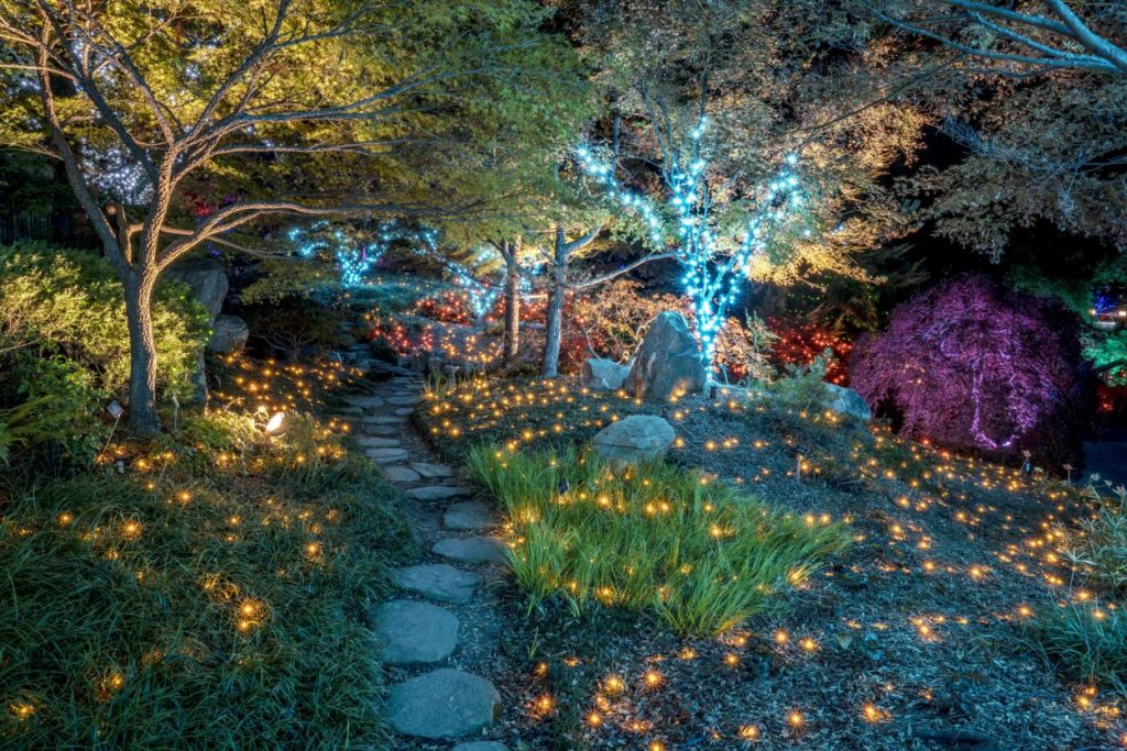 Magical Asian Valley Path at Dominion Energy GardenFest of Lights Image by Don Williamson