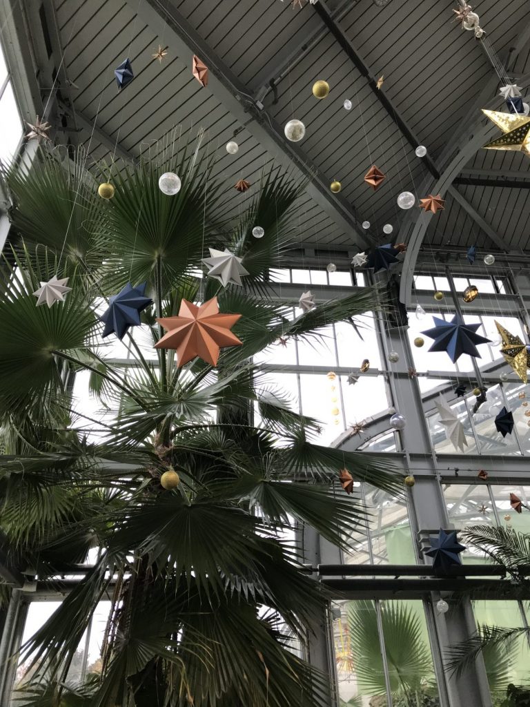 Moon and the Stars in the Conservatory