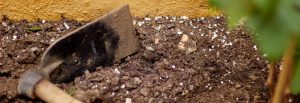 Soils Ph and fertilization