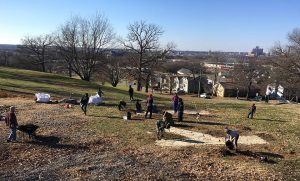Teamwork: planting an urban orchard.