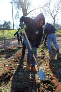 Community Collaboration for Collective Impact in urban gardening and communities