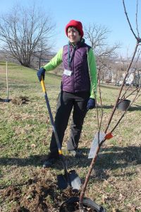 Planting trees to make Richmond more beautiful.
