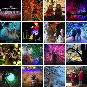 GardenFest Instagram Contest